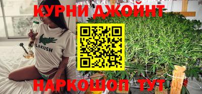 эйфоретик Кингисепп