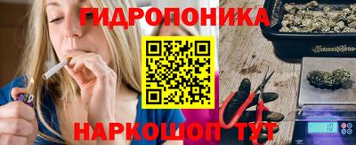 эйфоретик Кингисепп