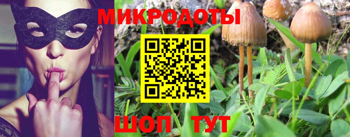 Галлюциногенные грибы ЛСД Лабинск