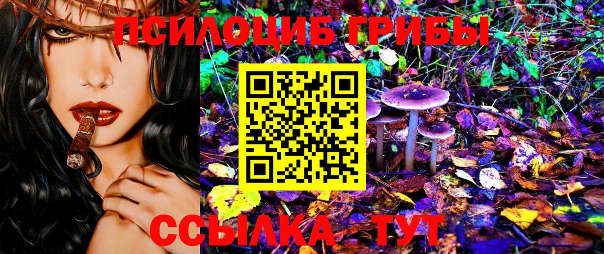 Псилоцибиновые грибы Cubensis  Вход с VPN  Лабинск 